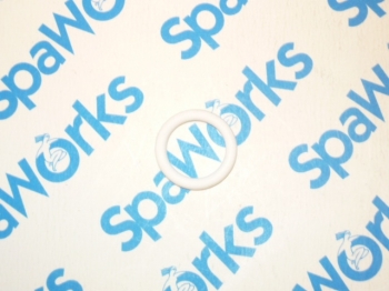 6540-868 O-Ring: Diverter Stem 2002+
